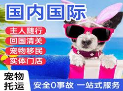 珠海金湾机场邮寄国际宠物托运 【国